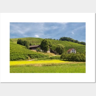 Vineyards near Oberkirch Posters and Art